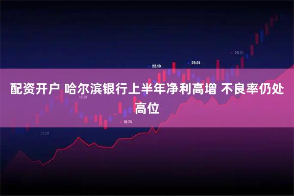 配资开户 哈尔滨银行上半年净利高增 不良率仍处高位