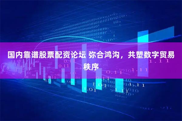 国内靠谱股票配资论坛 弥合鸿沟，共塑数字贸易秩序